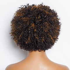 Ready to Go Blonde Highlights Afro Curls Light Weight Glueless Short Wig