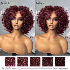 Trendy Burgundy Curly Bob Glueless Minimalist HD Lace T Part 99J Hair Color Wig 100% Human Hair