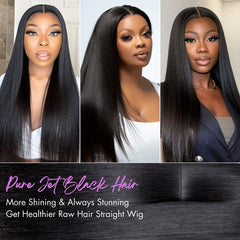 PreMax Wigs | Jet Black Middle Part Silky Straight Glueless 5x5 Closure Lace Wig Pre-Cut Lace